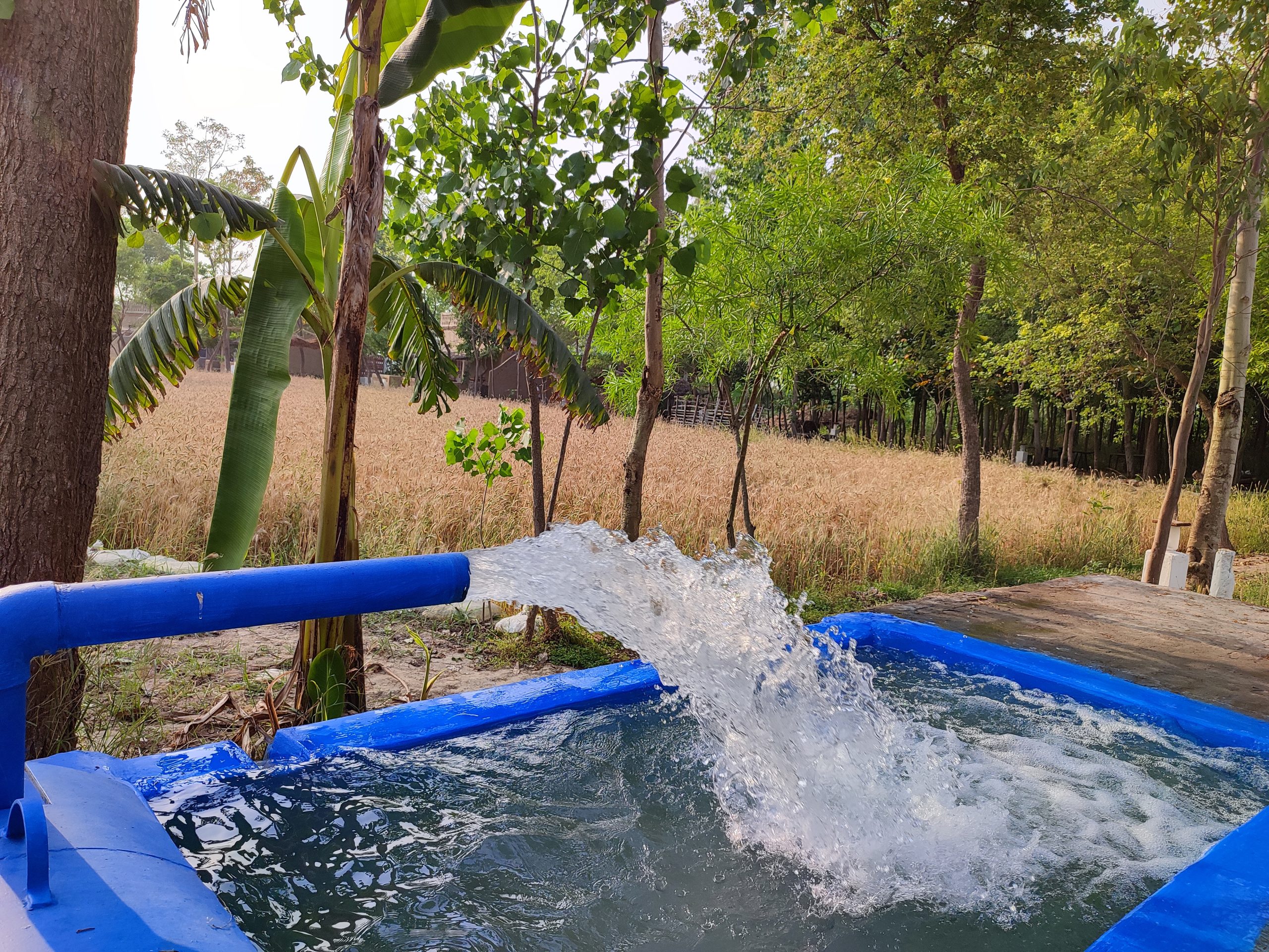 Tubewell plunge pool