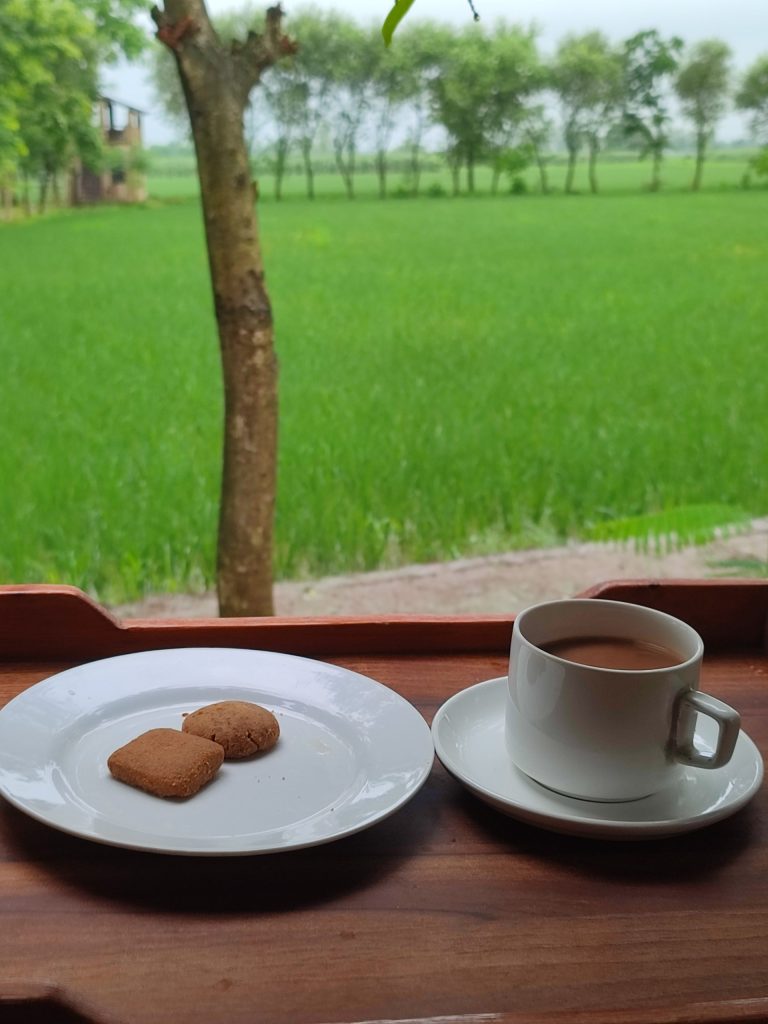 best-farm-stays-in-Punjab