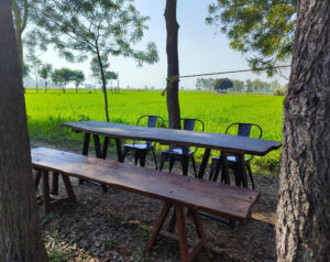 Dharamshala To Amritsar Road Trip Stopover Punjab Farmstay Road Trip Stopover Punjab Farmstay