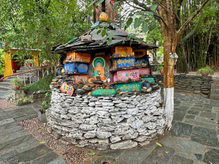 The Perfect 6-Day Amritsar to Dharamshala Itinerary: Iconic City, Rural discovery & Mountain Peaks