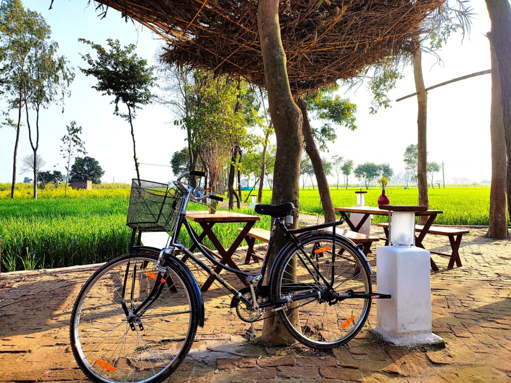 Outdoor punjab village farm rural punjab amritsar farmhouse