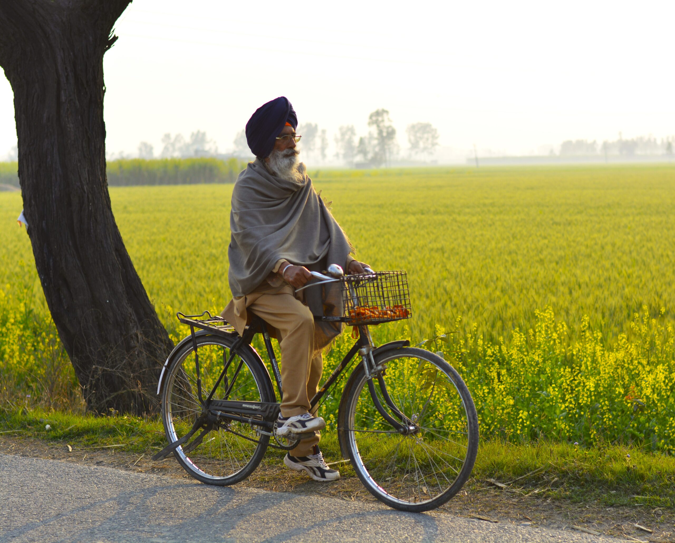 Countryside cycling trails near Amritsar Punjab farmstay