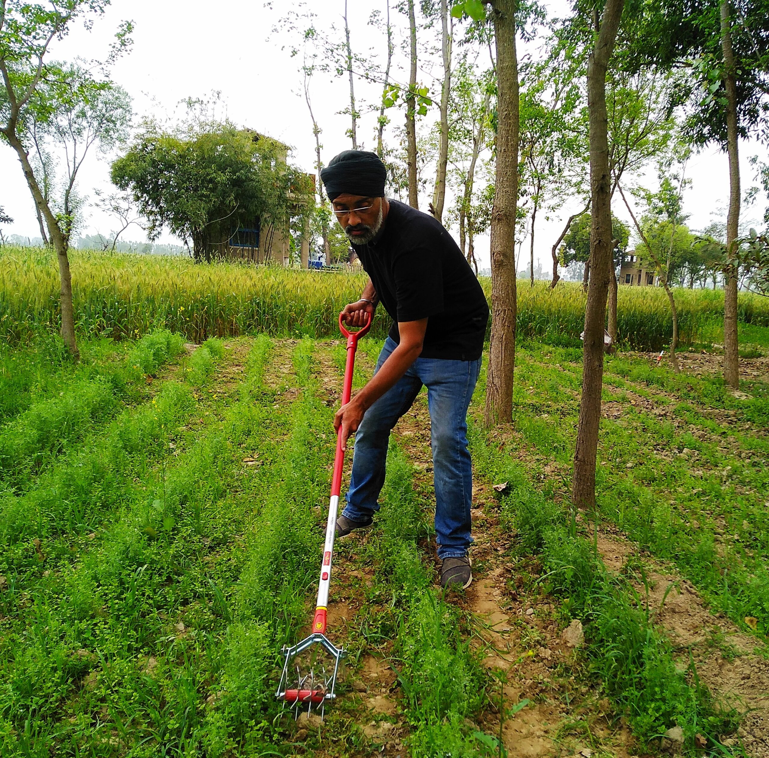 Farmer village tour near Amritsar day visit Punjab farmstay