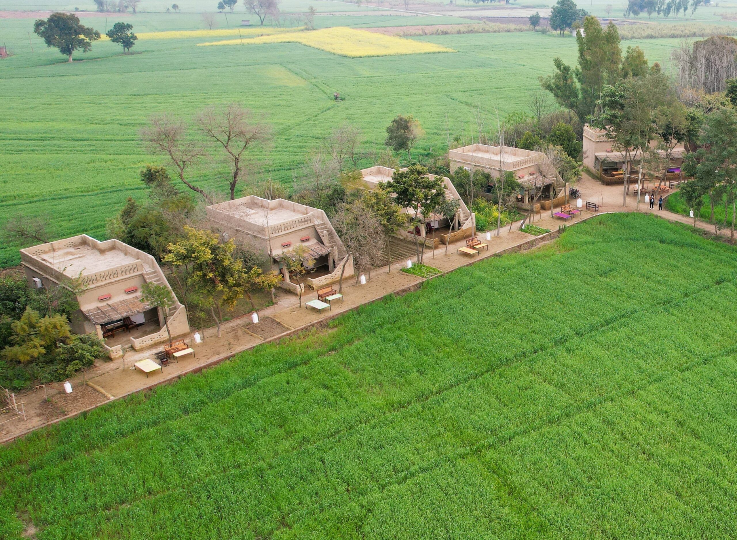 Punjab-Village-Farm-Amritsar