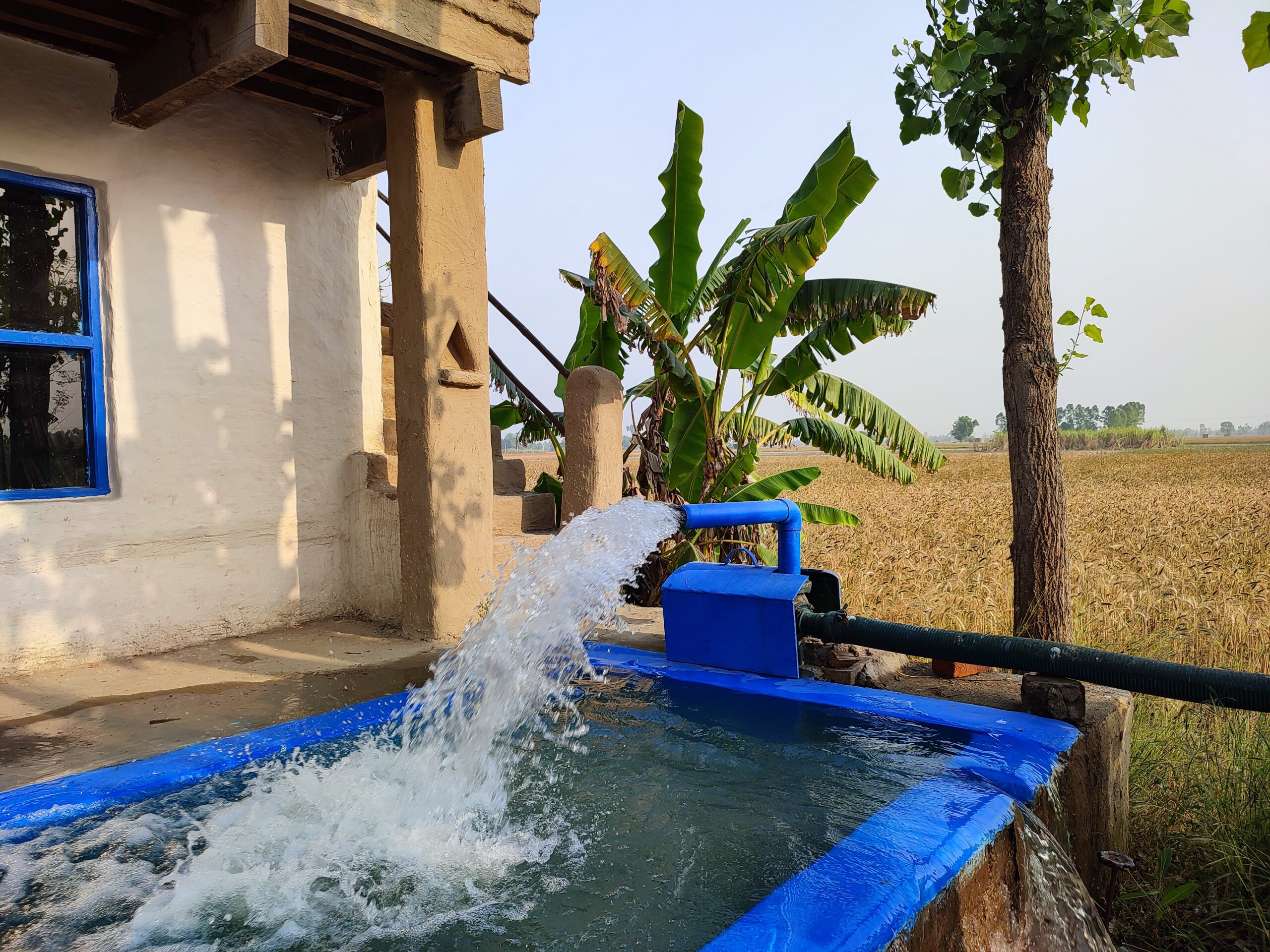 Tube well plunge pool desi summer cool day visit Punjab farmstay Amritsar